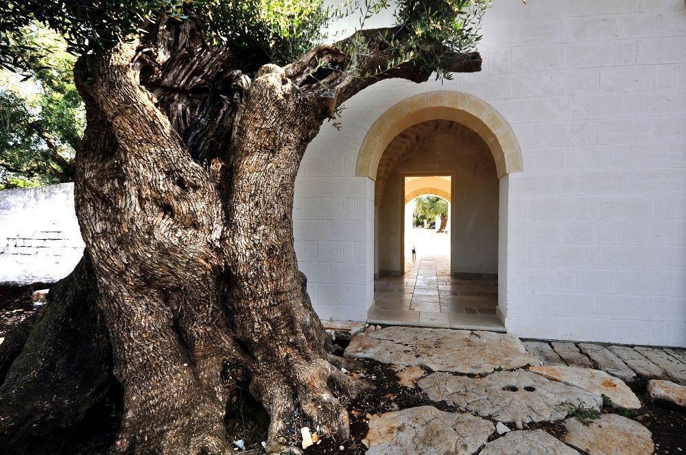 Masseria De Michele Montalbano  Exterior photo